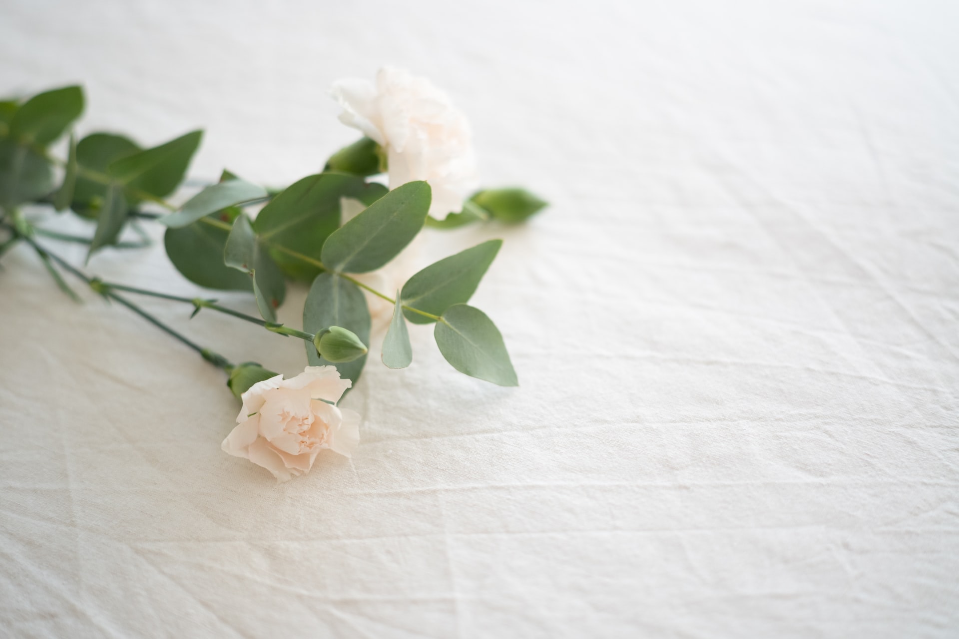 Zakład pogrzebowy – wsparcie dla żałobników