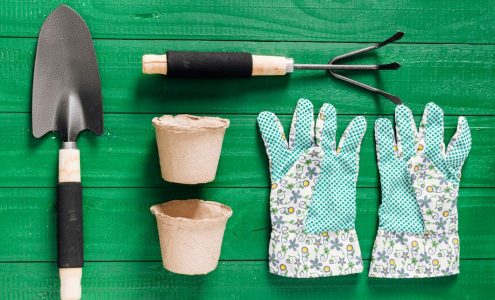 Jak wybrać odpowiednie narzędzia do pielęgnacji ogrodu?