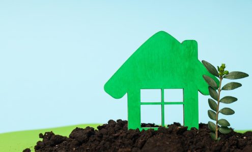 Zrozumieć i sprostać wyzwaniom finansowym: poradnik dla właścicieli domów i ogrodów