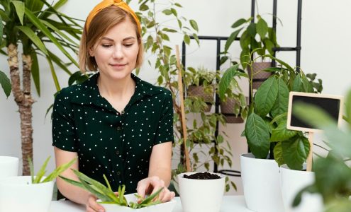 Jak domowe rośliny wpływają na nasze zdrowie?